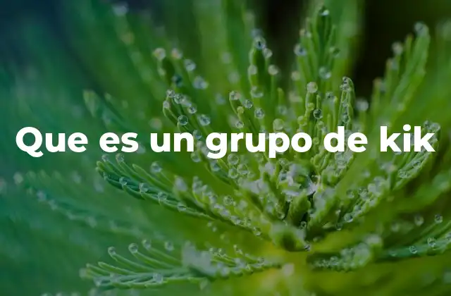 Que es un Grupo de Kik