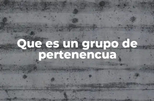 Que es un Grupo de Pertenencua