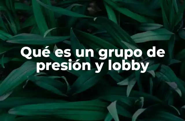 Qué es un Grupo de Presión y Lobby