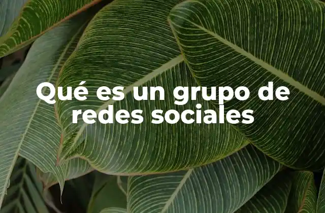 Qué es un Grupo de Redes Sociales