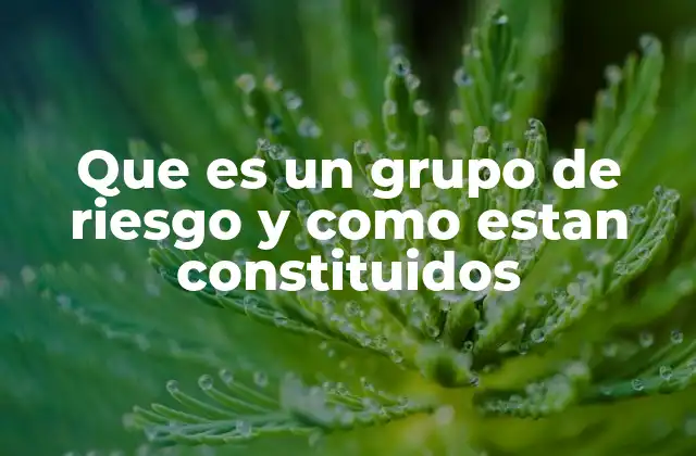 Que es un Grupo de Riesgo y como Estan Constituidos