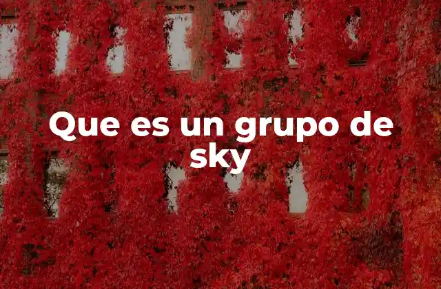 Que es un Grupo de Sky