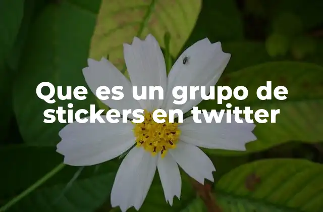 Que es un Grupo de Stickers en Twitter