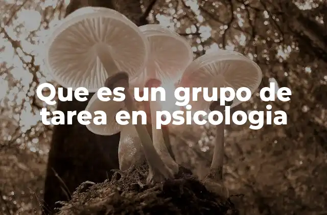 Que es un Grupo de Tarea en Psicologia