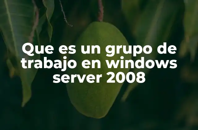 Que es un Grupo de Trabajo en Windows Server 2008