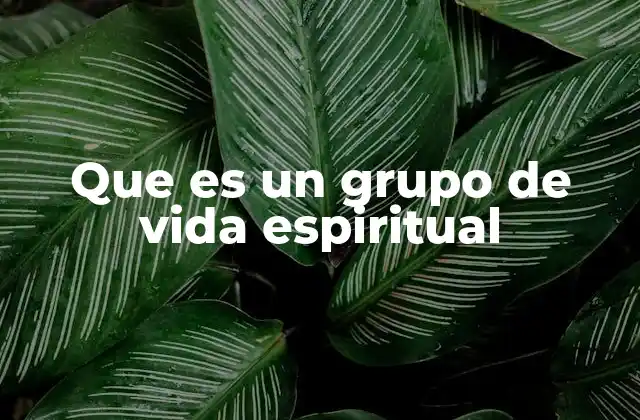 Que es un Grupo de Vida Espiritual