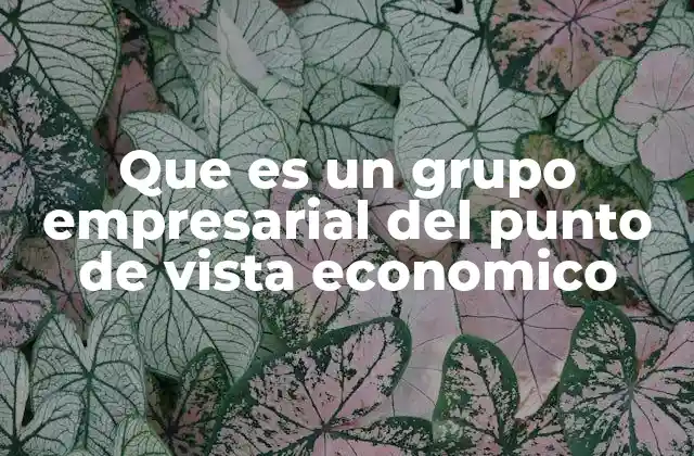 Que es un Grupo Empresarial Del Punto de Vista Economico