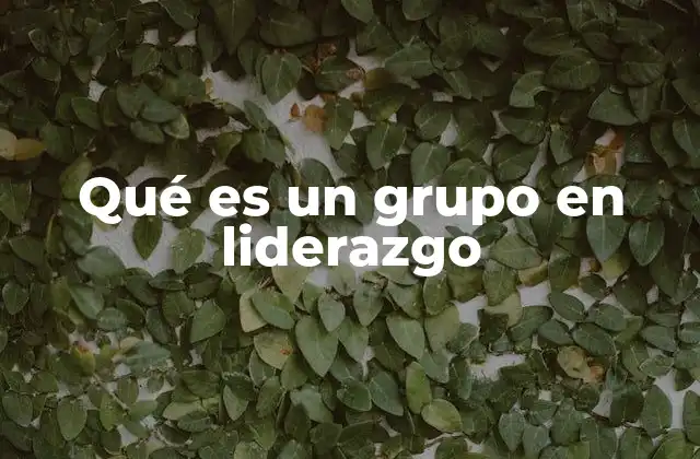 Qué es un Grupo en Liderazgo