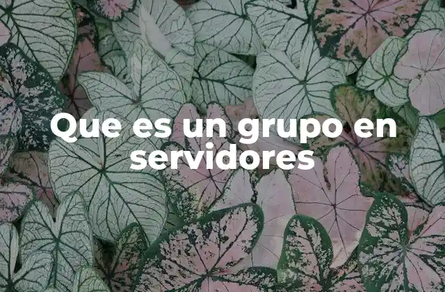 Que es un Grupo en Servidores