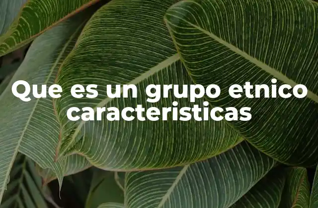 Que es un Grupo Etnico Caracteristicas