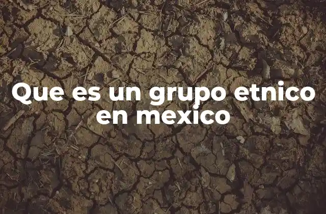 Que es un Grupo Etnico en Mexico