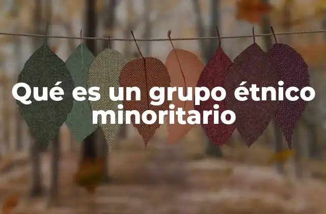 Qué es un Grupo Étnico Minoritario