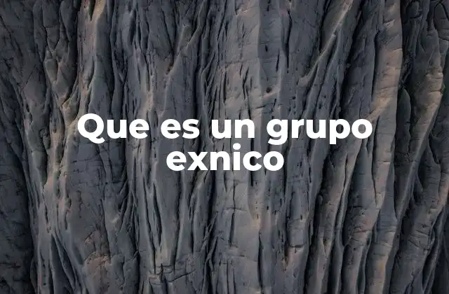 Que es un Grupo Exnico