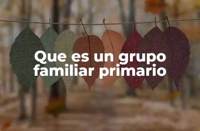 Que es un Grupo Familiar Primario