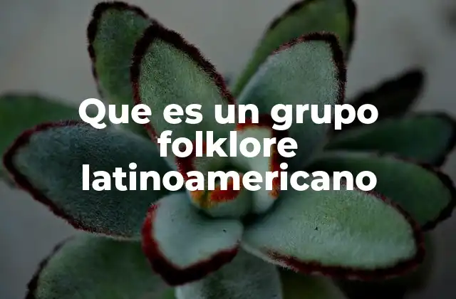 Que es un Grupo Folklore Latinoamericano