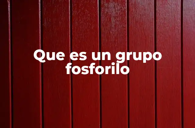 Que es un Grupo Fosforilo