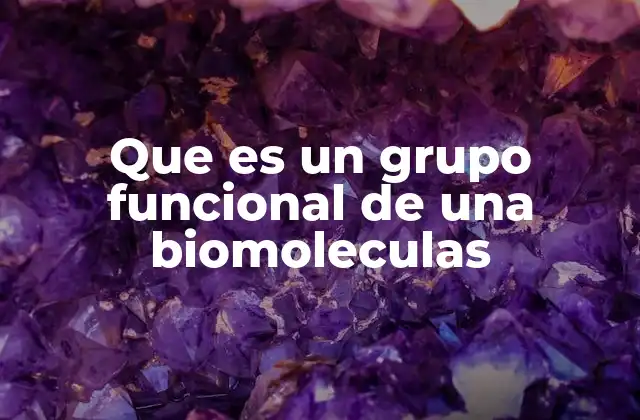Que es un Grupo Funcional de una Biomoleculas 2 La importancia de los grupos funcionales en la estructura molecular