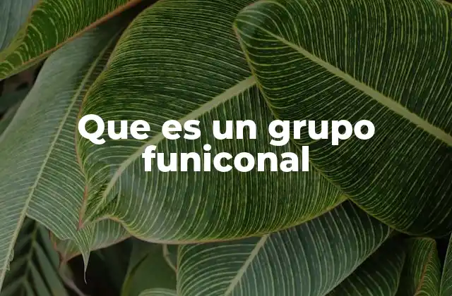 Que es un Grupo Funiconal