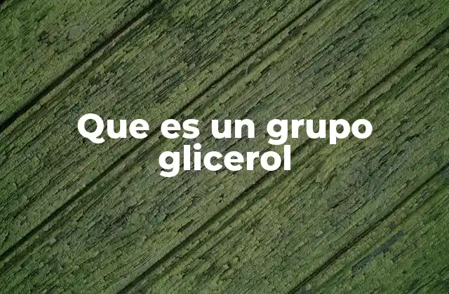 Que es un Grupo Glicerol