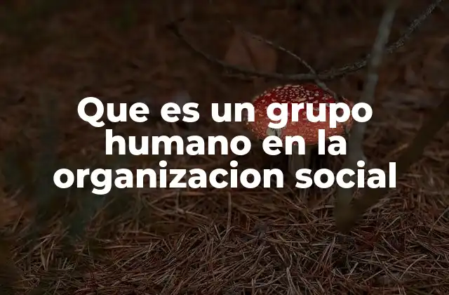 Que es un Grupo Humano en la Organizacion Social
