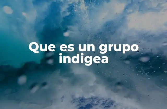 Que es un Grupo Indigea