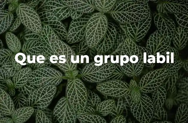 Que es un Grupo Labil