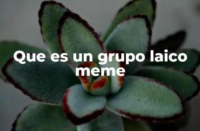 Que es un Grupo Laico Meme