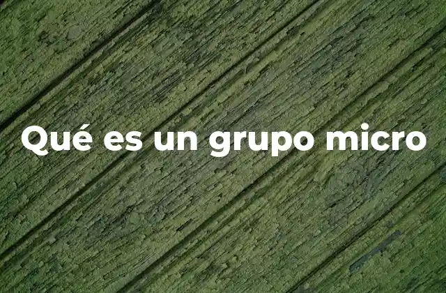 Qué es un Grupo Micro