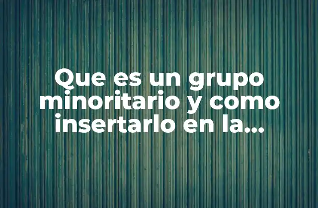 Que es un Grupo Minoritario y como Insertarlo en la Sociedad