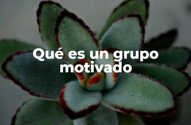 Qué es un Grupo Motivado