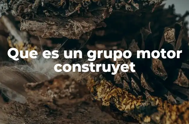 Que es un Grupo Motor Construyet