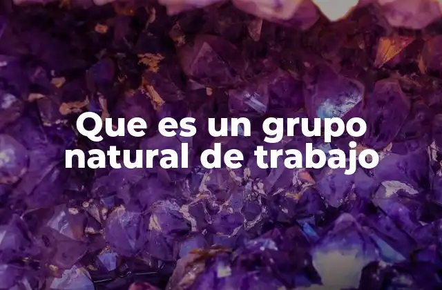 Que es un Grupo Natural de Trabajo