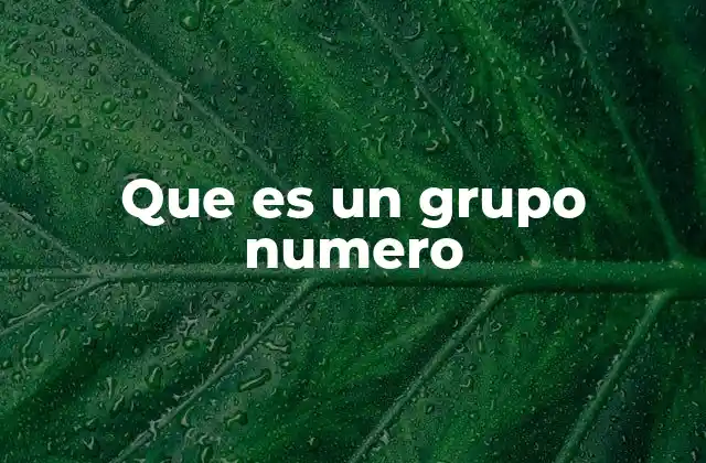 Que es un Grupo Numero