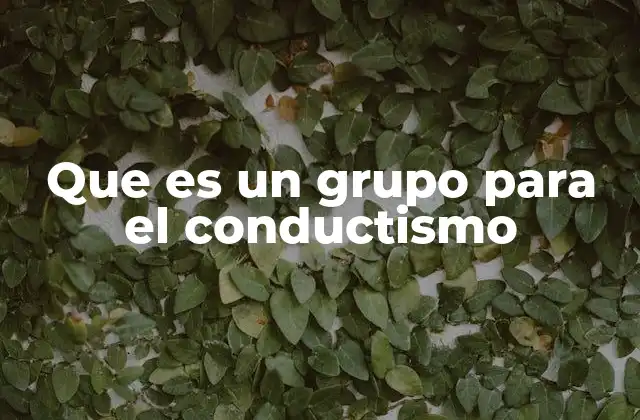 Que es un Grupo para el Conductismo