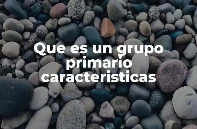 Que es un Grupo Primario Caracteristicas