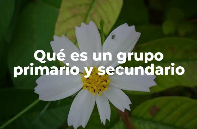 Qué es un Grupo Primario y Secundario