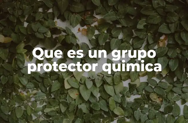Que es un Grupo Protector Quimica