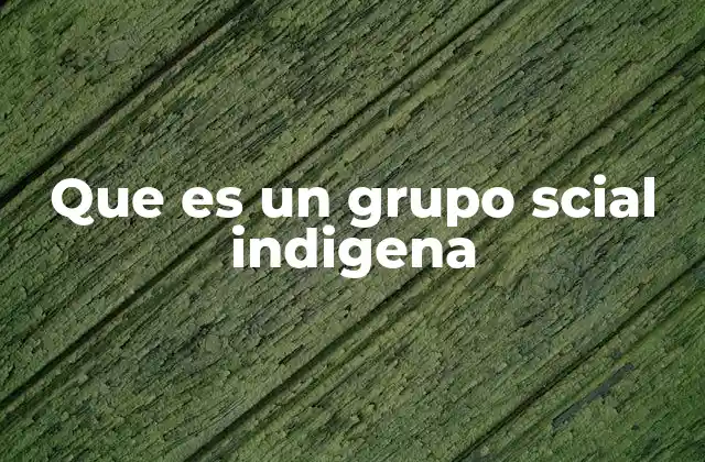 Que es un Grupo Scial Indigena