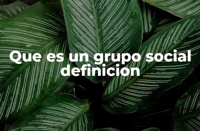 Que es un Grupo Social Definicion
