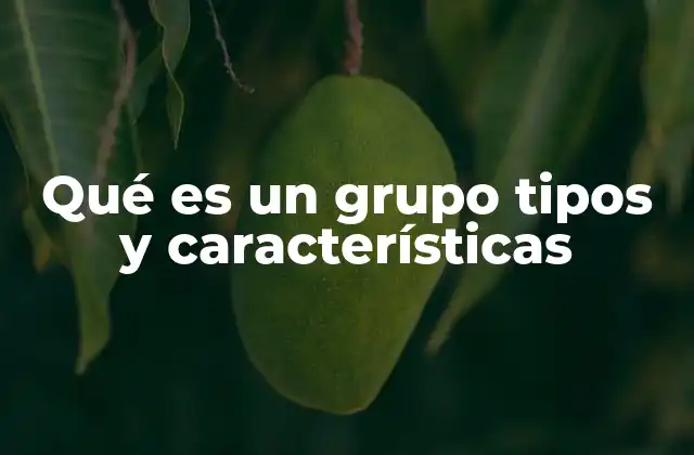 Qué es un Grupo Tipos y Características