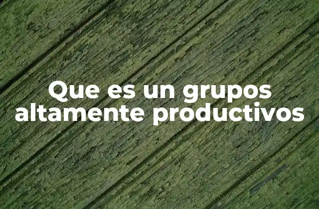 Que es un Grupos Altamente Productivos