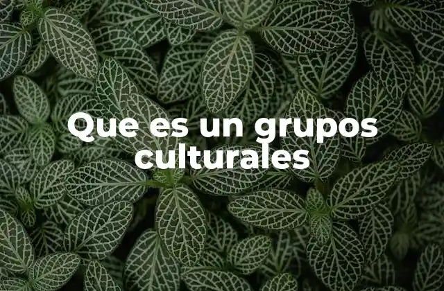 La importancia de los grupos culturales en la sociedad