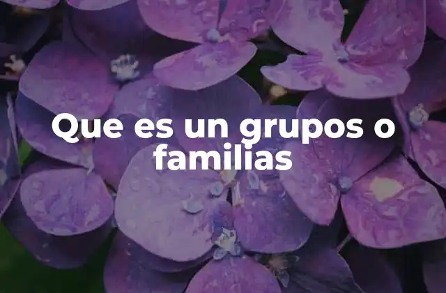 Que es un Grupos o Familias
