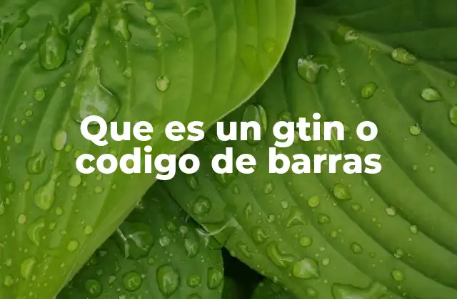 Que es un Gtin o Codigo de Barras