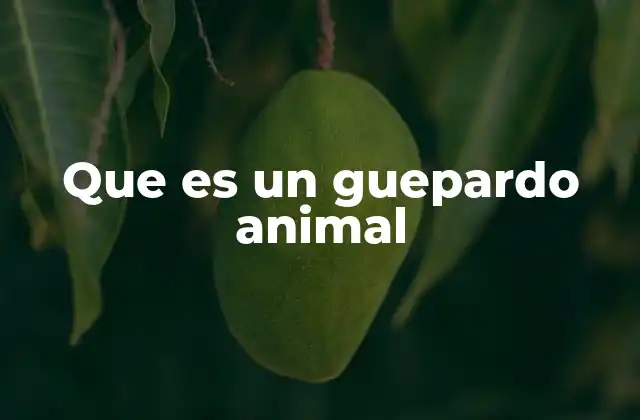 Que es un Guepardo Animal