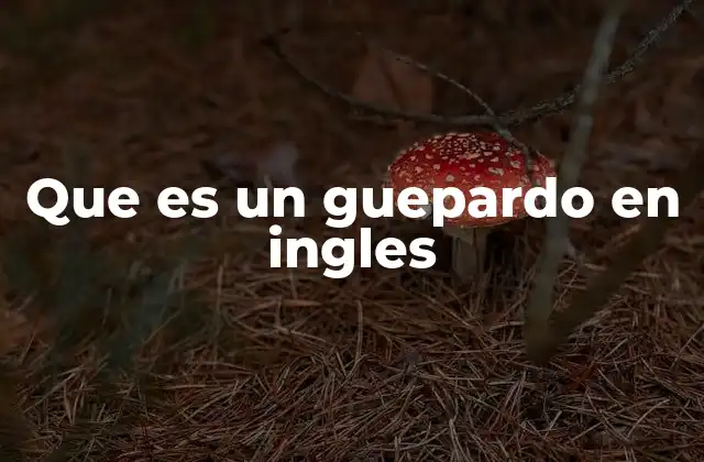 Que es un Guepardo en Ingles 2 El guepardo y su representación en la cultura popular