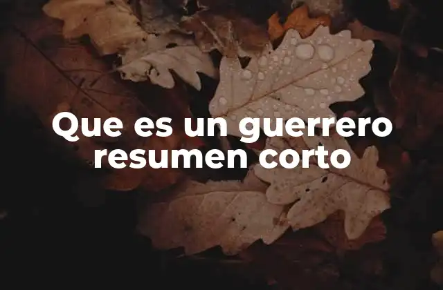 Que es un Guerrero Resumen Corto