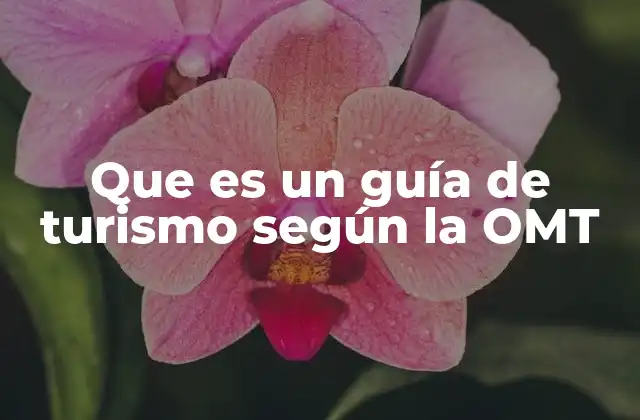 Que es un Guía de Turismo según la Omt