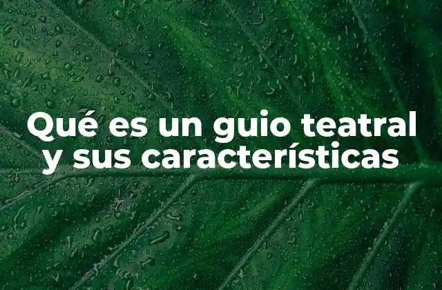 La estructura y elementos del guion teatral