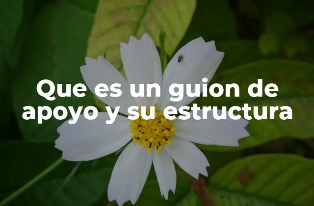 Que es un Guion de Apoyo y Su Estructura